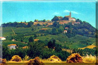 San Marzano Oliveto