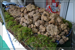 A photo of our truffles during the fair